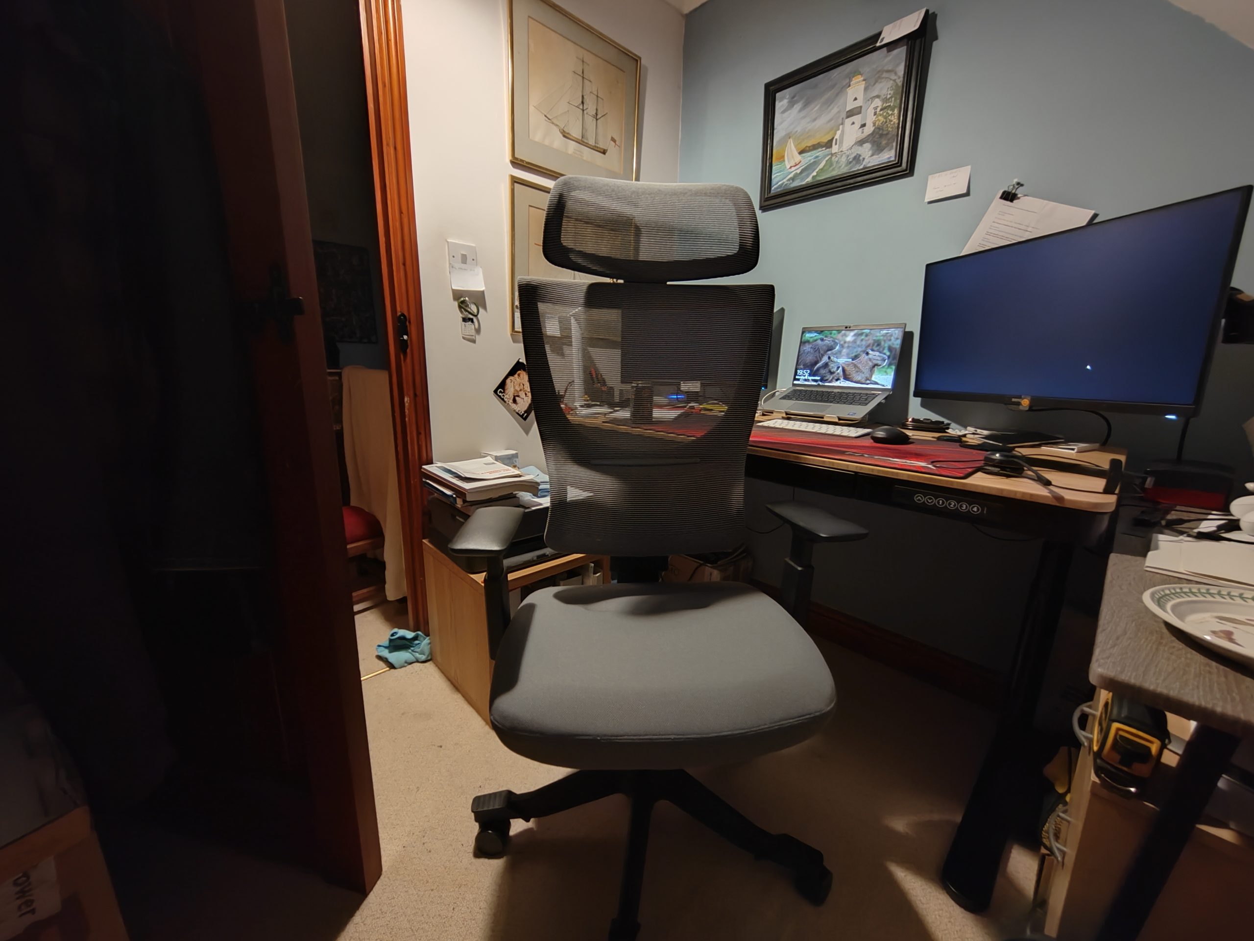 Flexispot BS8 Flexi Chair Ergonomic Office Chair   Review